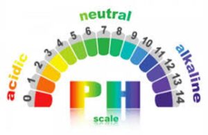 Alkaline Water pH Scale