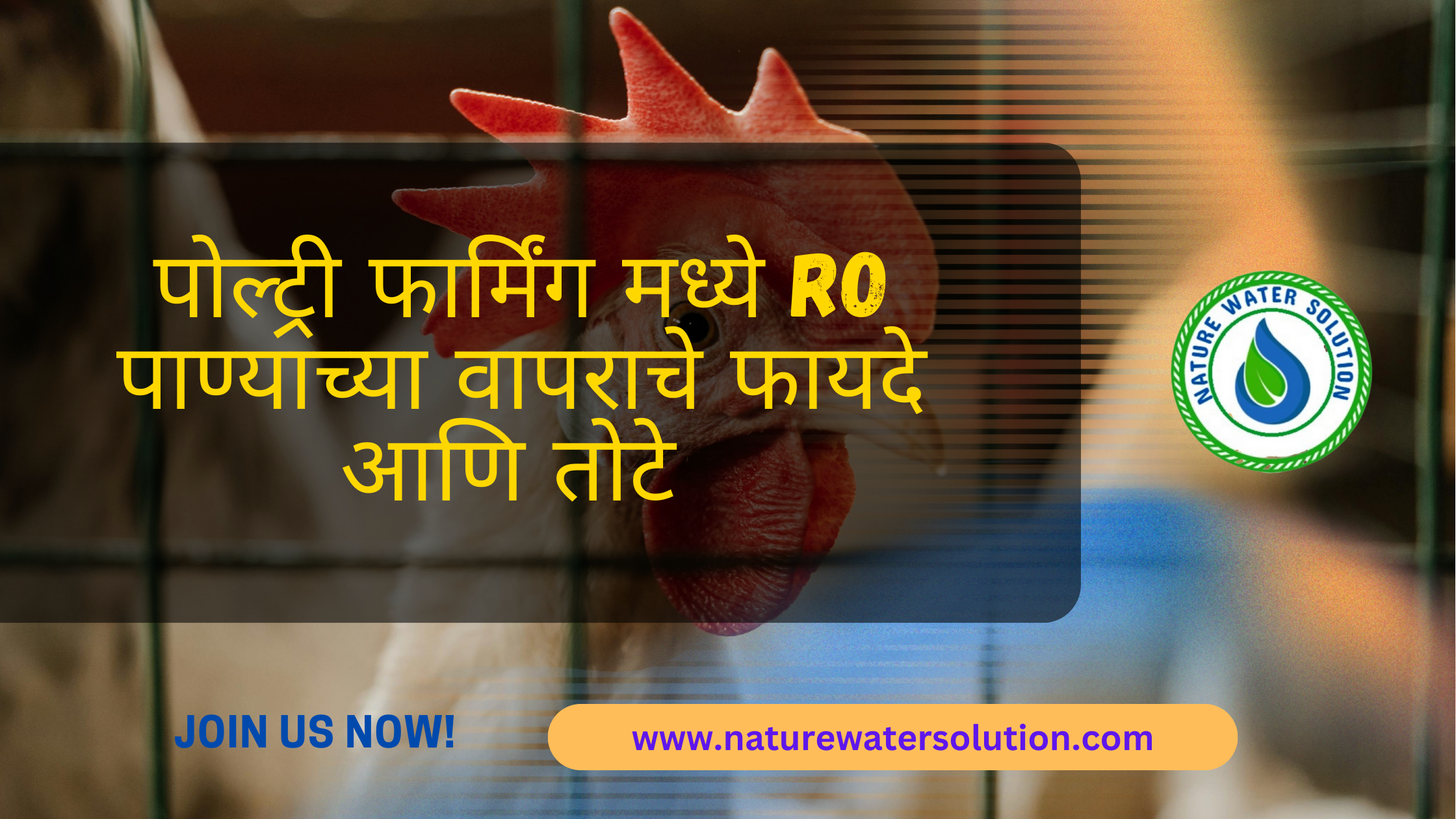 RO Water in Poultry Farming